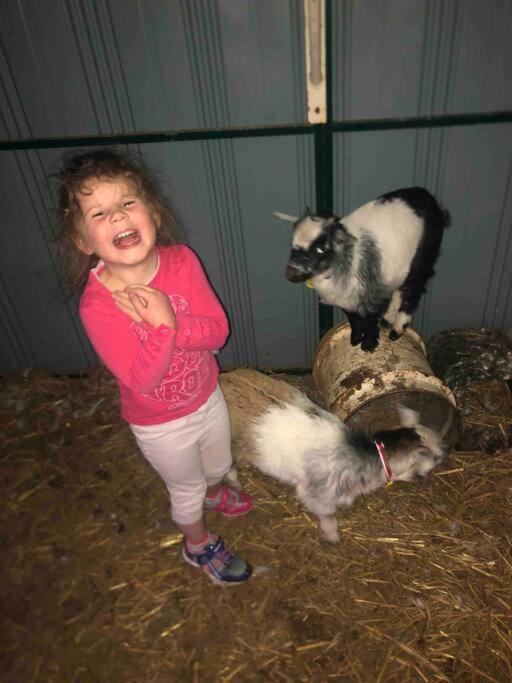 Вилла Lappi Farm Берридейл Экстерьер фото